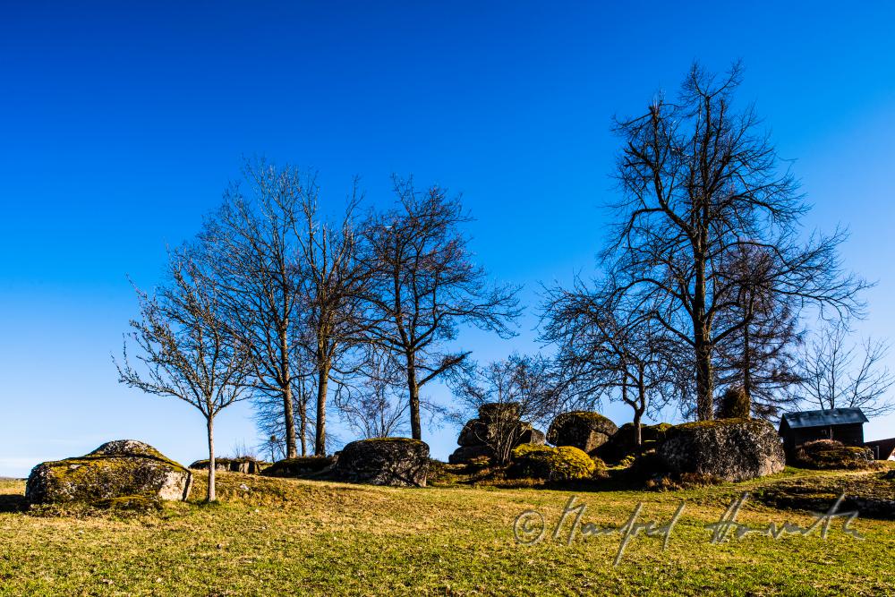 granite boulders in a meadow near a forest