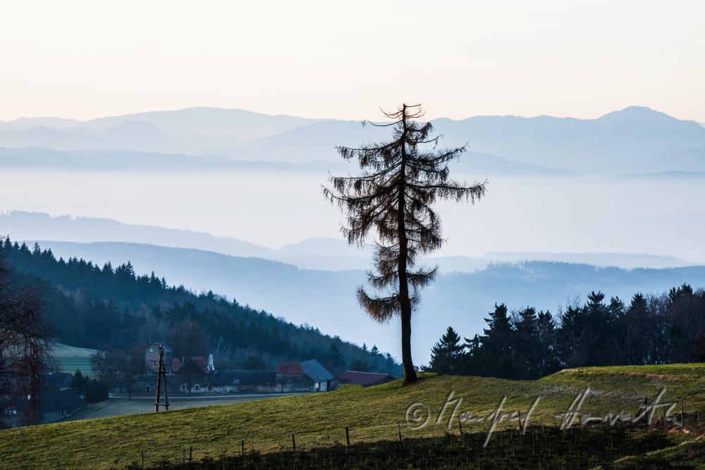 view from the mountain 