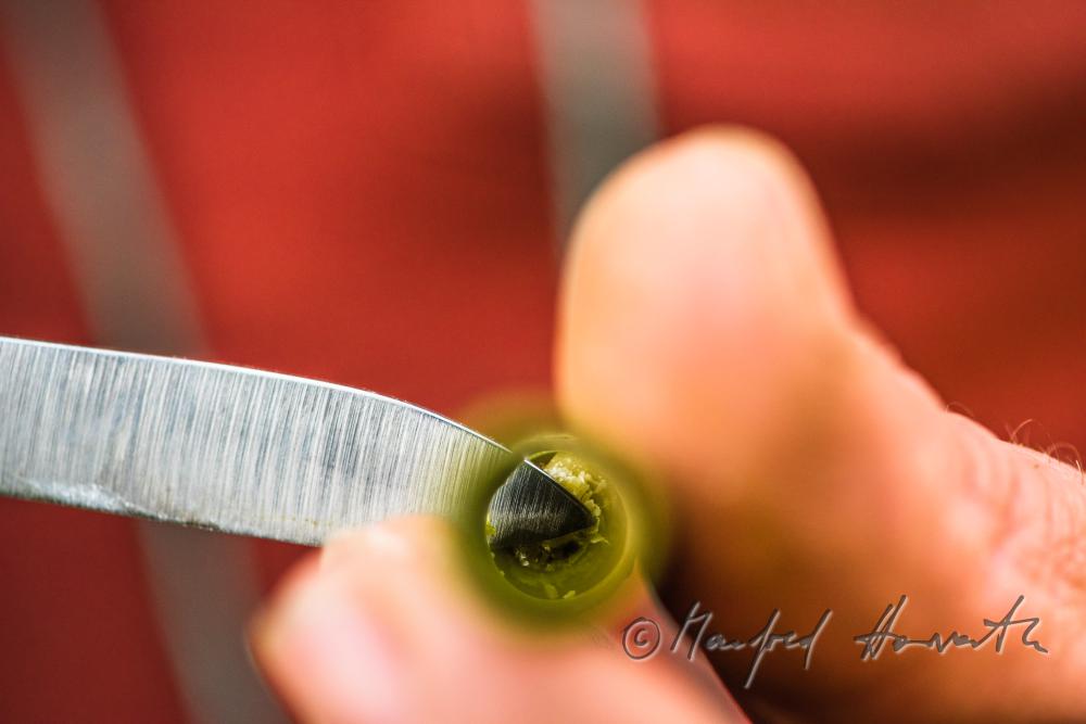 in spring it is an old tradition to carve whistles