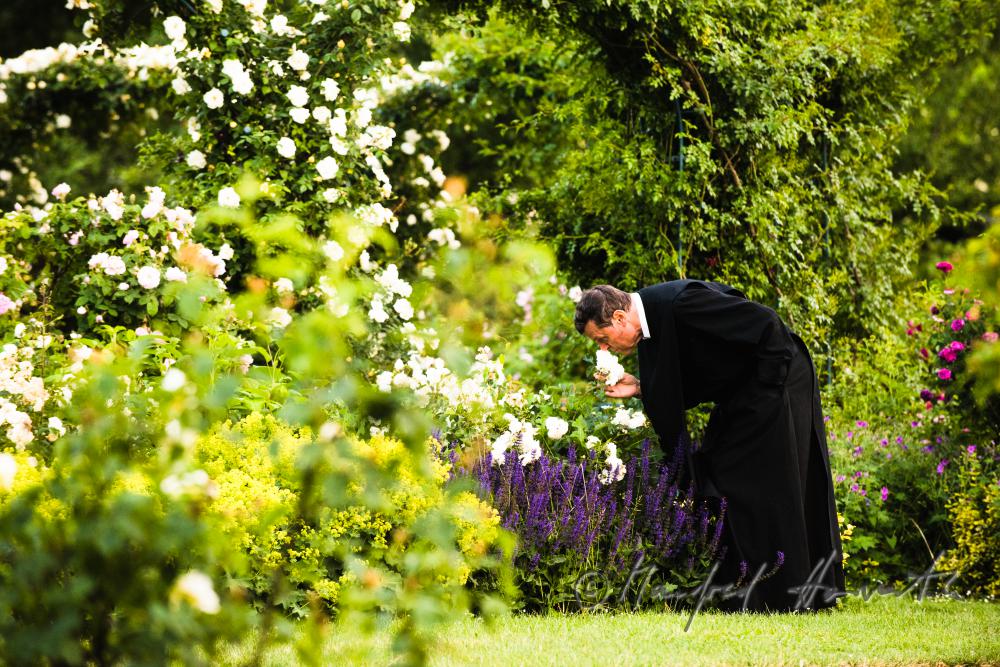 Benedictine monk smells the scent of a rose bloom