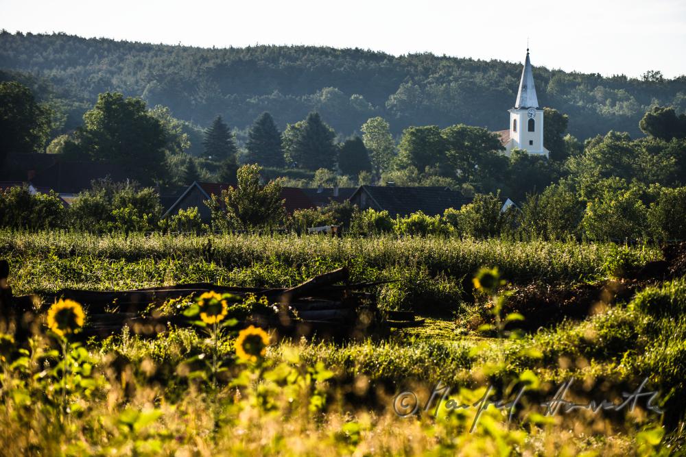 view from the West to the church of the village