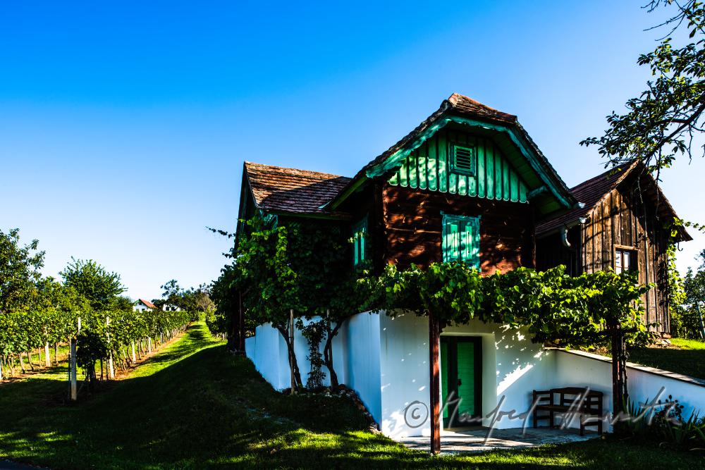 typical wine cellar in the slopes of the vineyards