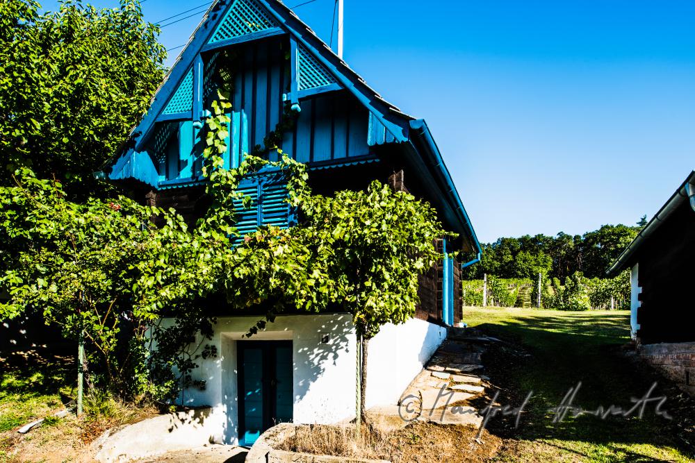 typical wine cellar in the slopes of the vineyards