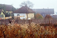 e1r010341