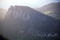 f1r070211