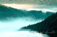 f1r090102