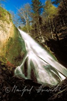 f1r090103