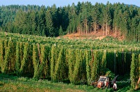 f1r210103