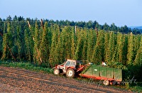 f1r210104