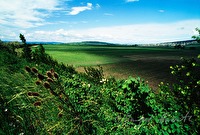 f2l050113