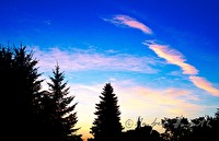 f2l180119