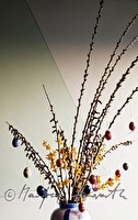 f2l420107