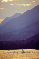 f3l590115