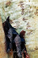 f4l080112