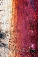 f4l080114