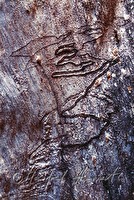 f4l080116
