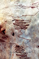 f4l080201