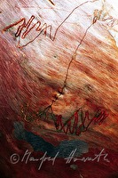 f4l080202