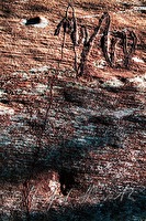 f4l080206