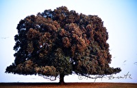 f4l230107