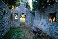 f4l230224