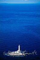 f4l240216