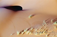 f4l300108