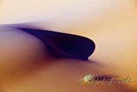 f4l300120