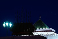 f4l310234