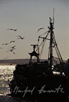 f4l330408