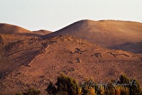 f4l560104
