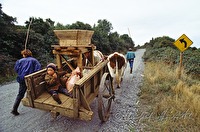 f4l590104