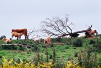 f4l770108