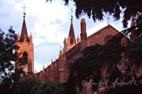 f4l900309