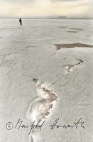 p01010101