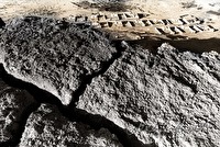 p01010106