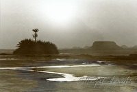 p01010113