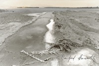 p01010115