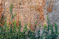 xa0010027