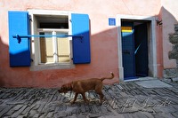 xa0010180