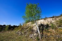 xb0016294