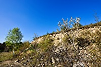 xb0016297