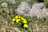 xb0016534