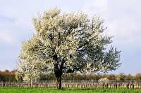 xb0017585