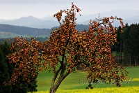 xb0059851