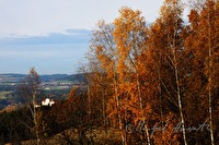 xb0060561