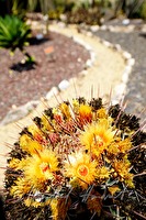xb0089509
