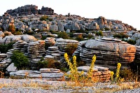 xb0090639