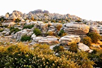 xb0090654