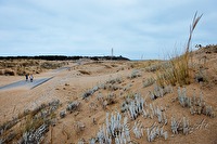 xb0091135